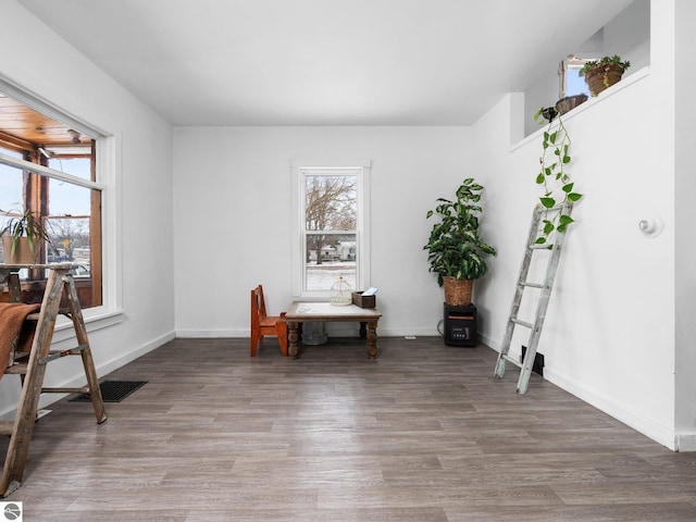 office area featuring hardwood / wood-style flooring