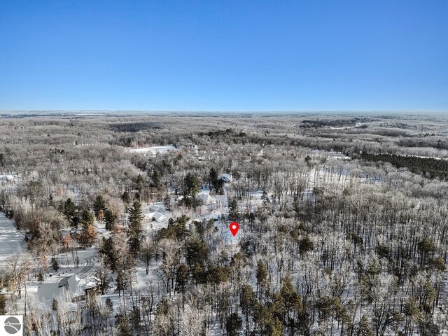 108 Rolling Oak Ln, Roscommon, MI 48653 - drone / aerial view