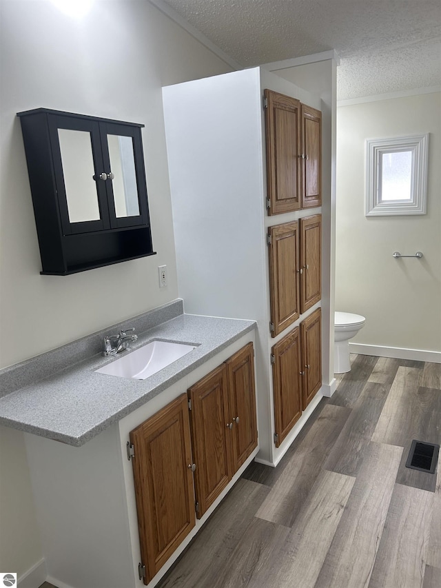 bathroom featuring vanity, wood-type flooring, a textured ceiling, and toilet