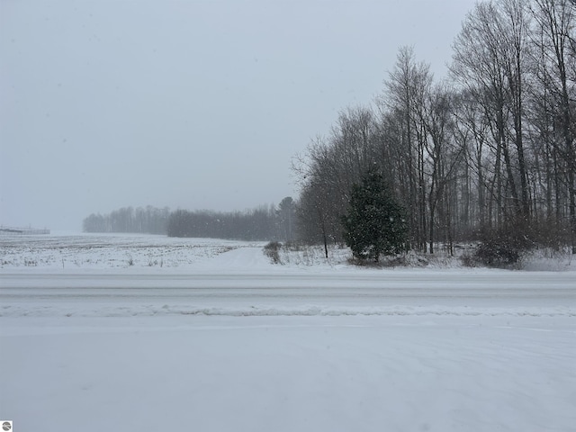 view of yard layered in snow