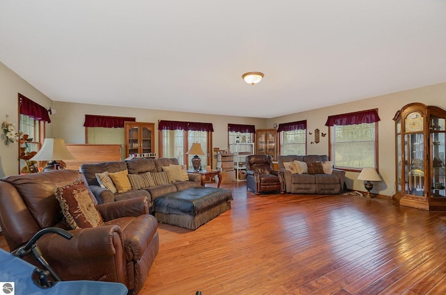 living room featuring plenty of natural light and wood-type flooring