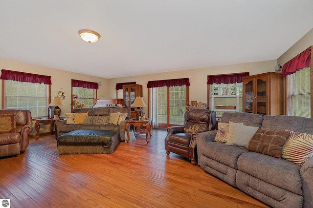 living room with hardwood / wood-style flooring and a healthy amount of sunlight