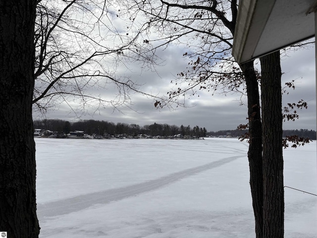 view of yard layered in snow