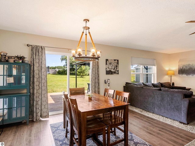 dining room featuring wood-type flooring, ceiling fan with notable chandelier, and a healthy amount of sunlight