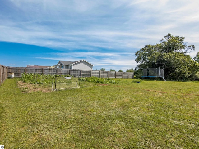 view of yard featuring a trampoline