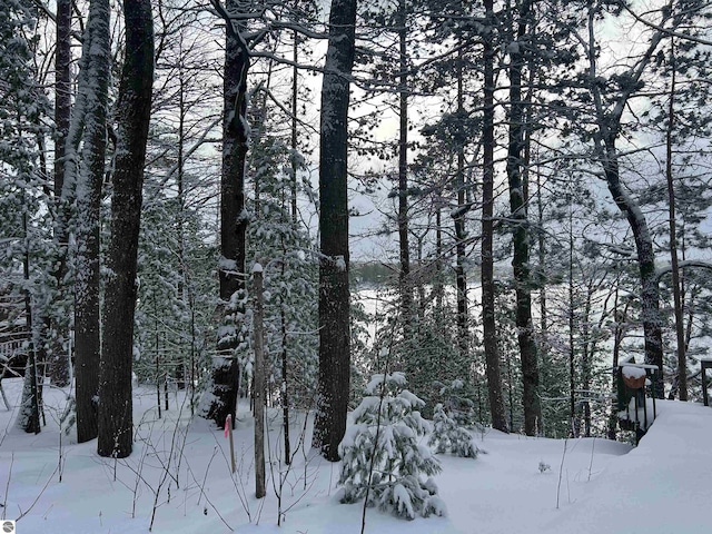 view of snowy view