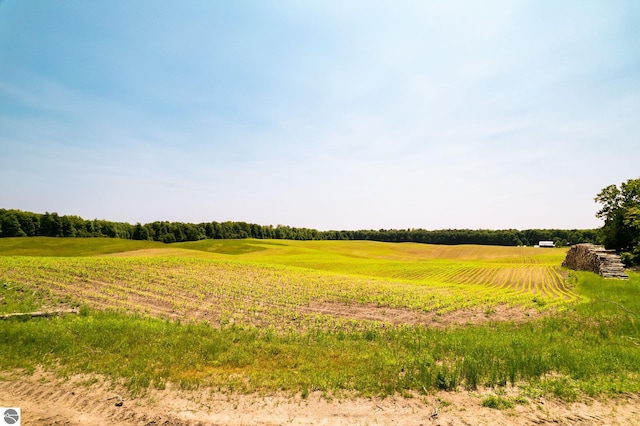 view of nature