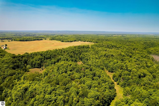 bird's eye view