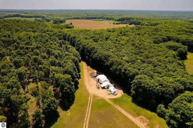 bird's eye view