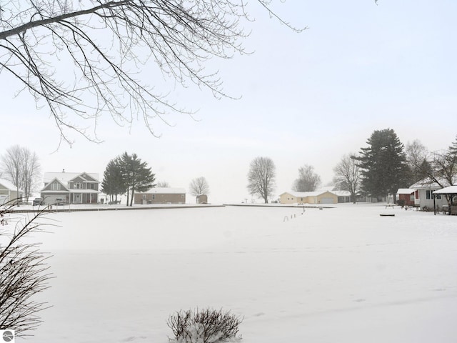 view of yard covered in snow