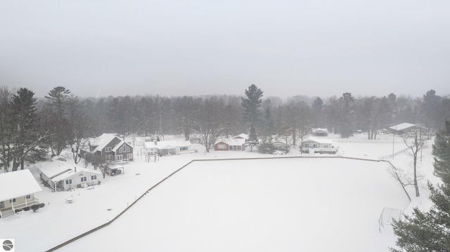 view of yard layered in snow