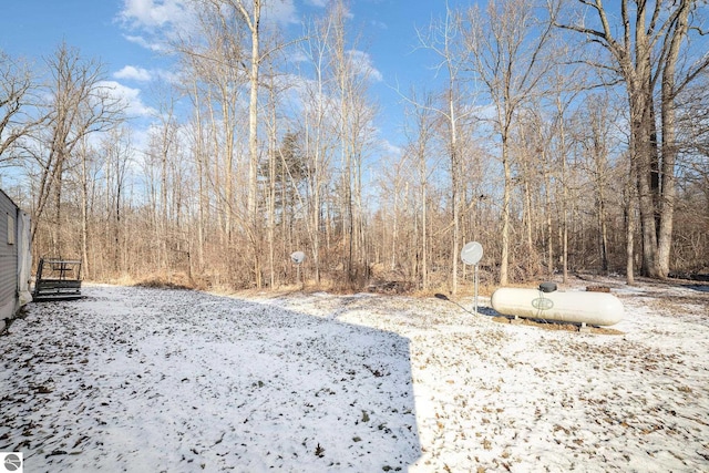 view of yard covered in snow