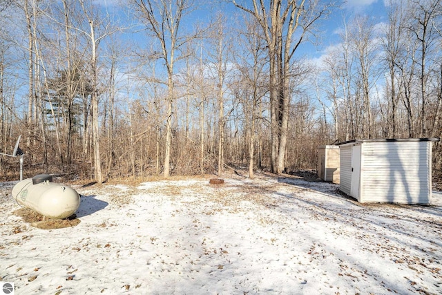 yard covered in snow with a storage shed