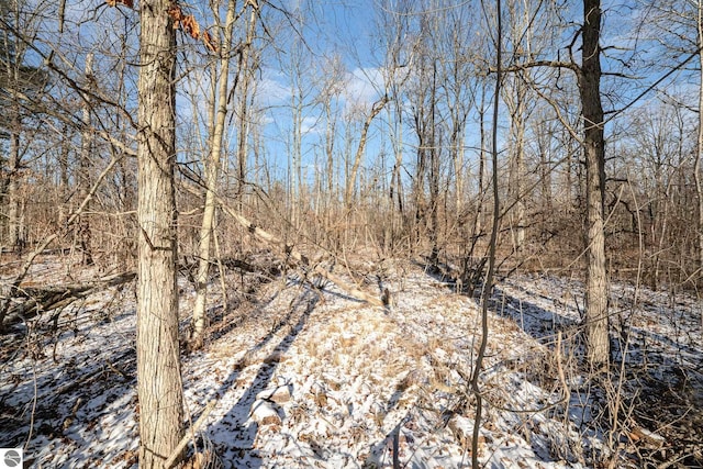 view of snowy landscape