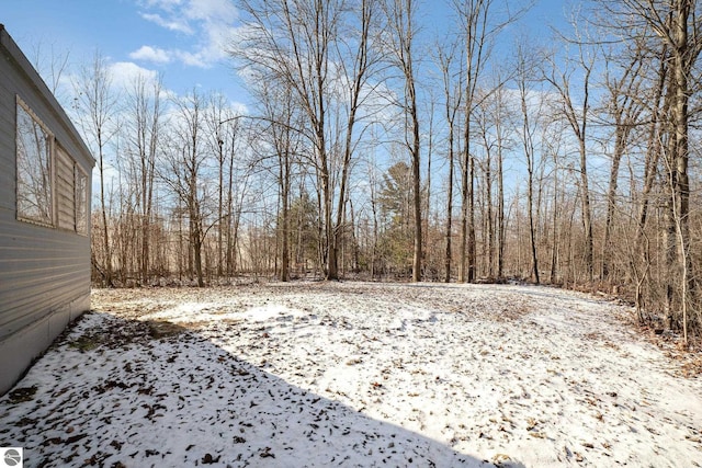 view of snowy yard