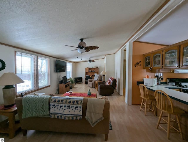 living room with ceiling fan, light hardwood / wood-style floors, ornamental molding, and a textured ceiling