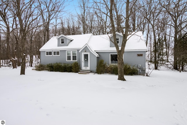 view of cape cod home