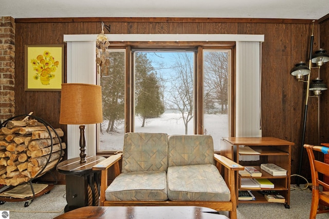 living area with carpet and wooden walls