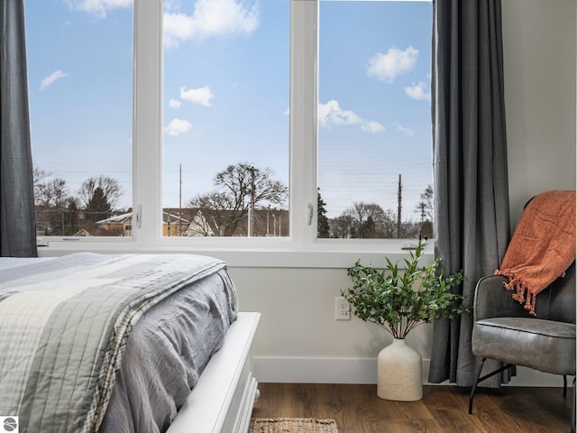 bedroom featuring dark hardwood / wood-style flooring