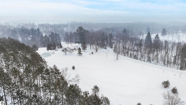 view of snowy aerial view