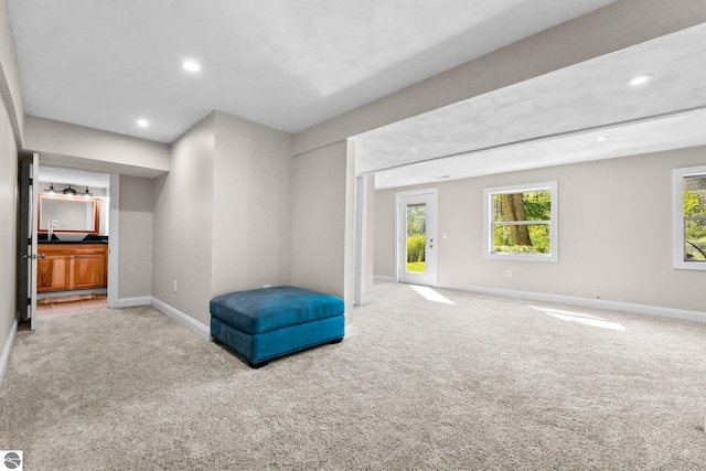 living area with light carpet