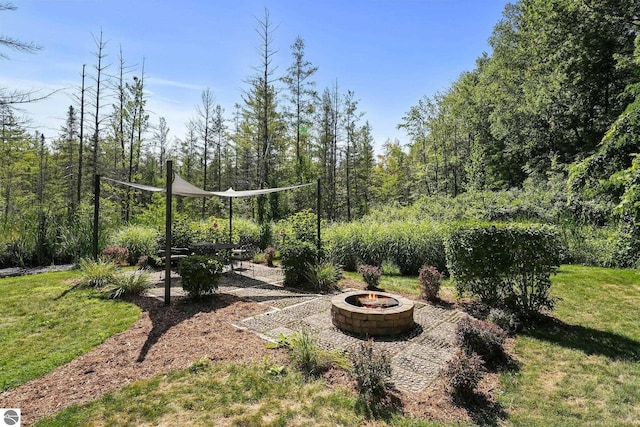 view of yard featuring a patio area and a fire pit