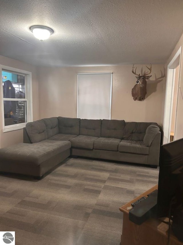 living room with carpet flooring and a textured ceiling