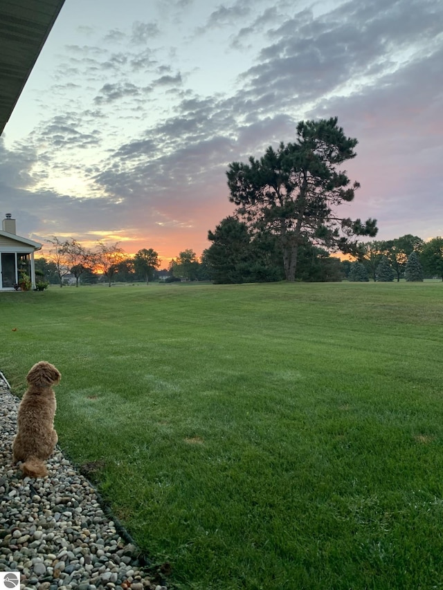 view of yard at dusk