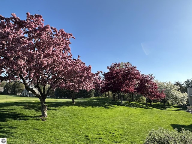 view of home's community featuring a yard