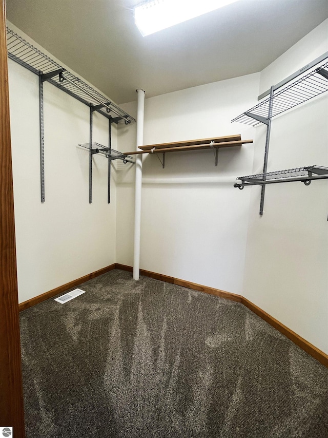 spacious closet featuring carpet flooring