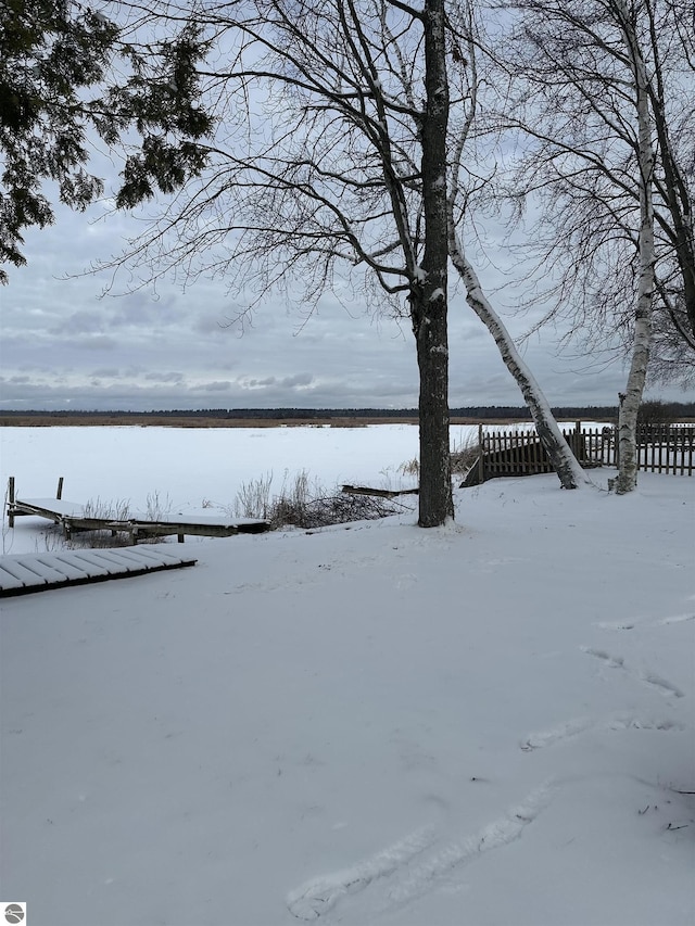 view of snowy yard