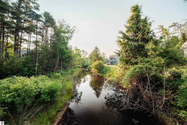 view of local wilderness featuring a water view