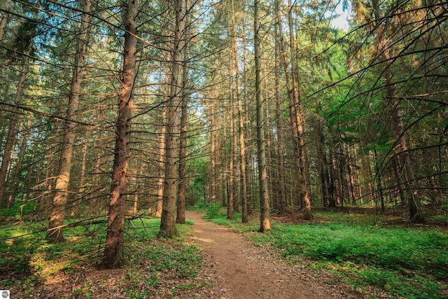 view of local wilderness