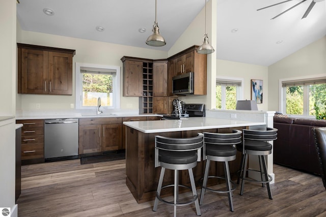 kitchen featuring stainless steel appliances, sink, decorative light fixtures, lofted ceiling, and dark wood-type flooring