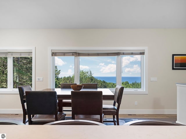 dining space featuring light hardwood / wood-style floors