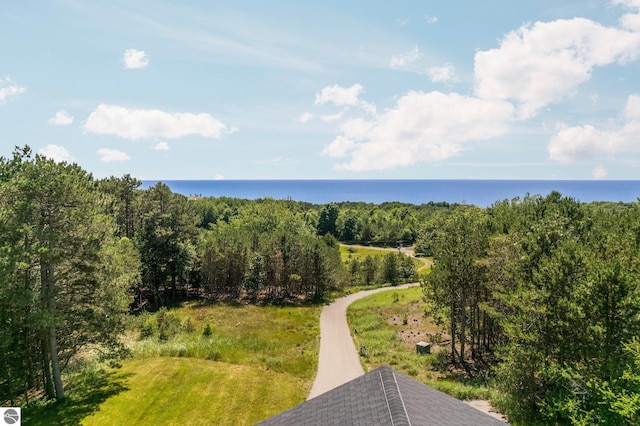 drone / aerial view featuring a water view