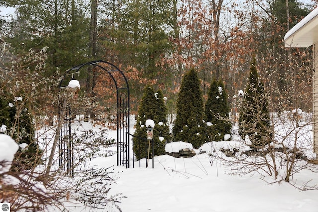 view of snowy yard