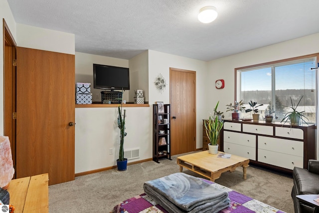 carpeted living room with a textured ceiling