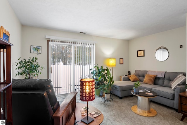 living room with a textured ceiling and carpet floors