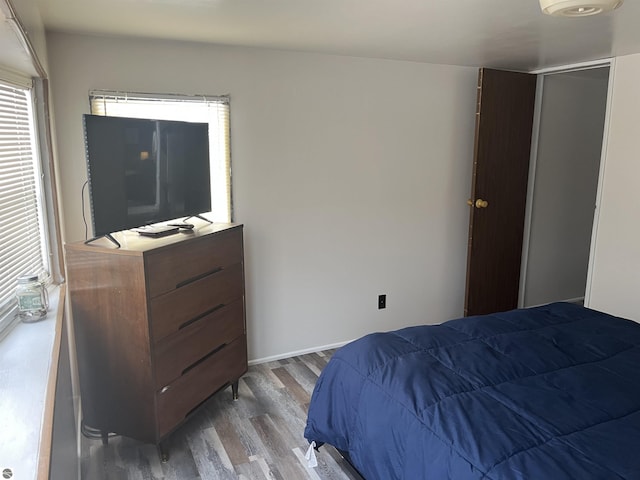 bedroom featuring wood-type flooring