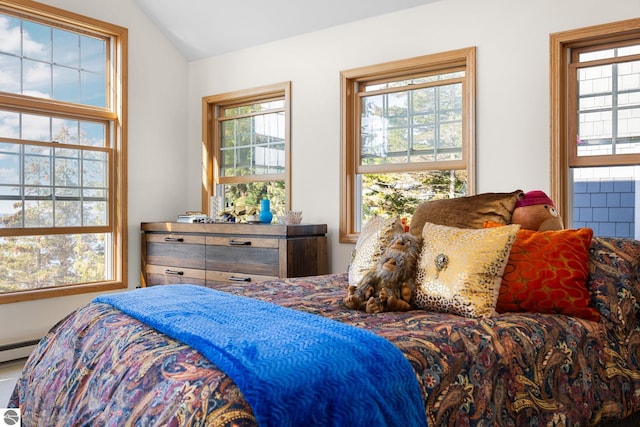 bedroom with lofted ceiling