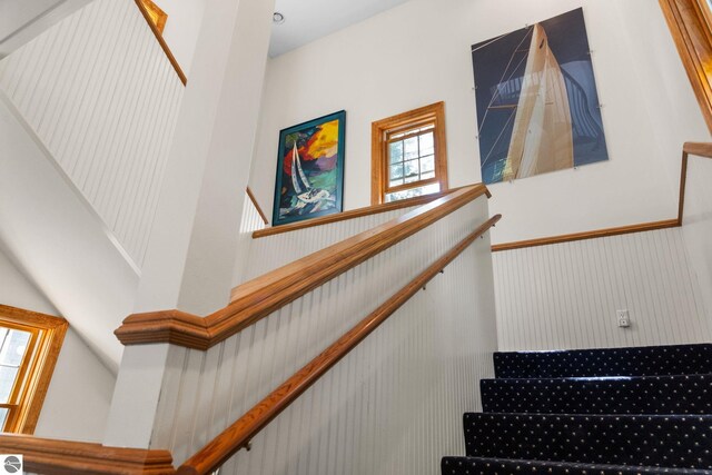 staircase with a towering ceiling