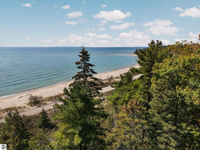 water view featuring a view of the beach