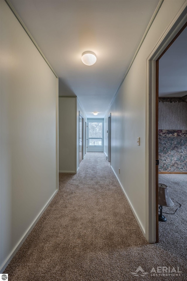 hallway featuring carpet flooring