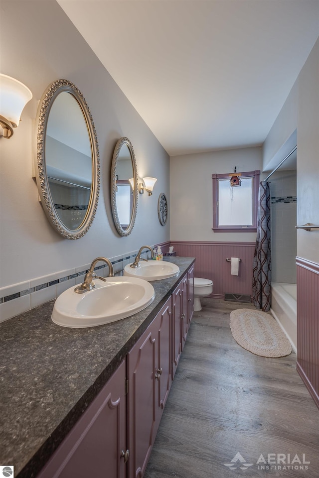 bathroom featuring toilet, vanity, and hardwood / wood-style floors