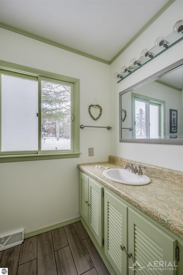 bathroom with vanity, plenty of natural light, and crown molding