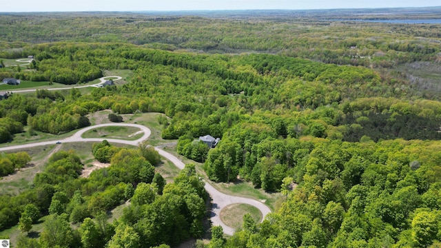 Listing photo 2 for LOT15 Horton Creek Dr, Grawn MI 49637