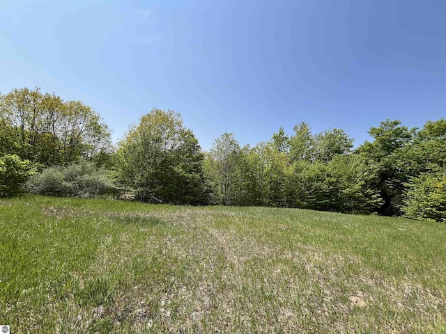 Listing photo 3 for LOT15 Horton Creek Dr, Grawn MI 49637