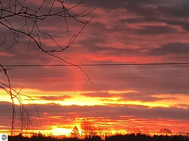 view of nature at dusk