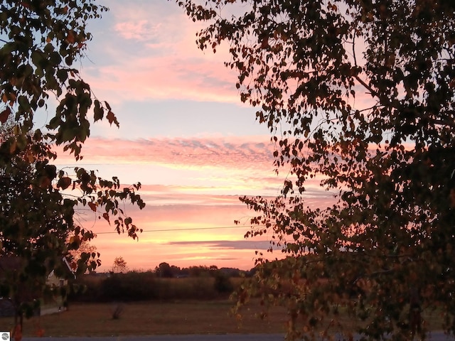 view of nature at dusk